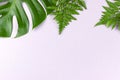 Tropical split leaves and fern on pastel pink background