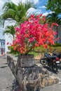 Tropical Stone Planter