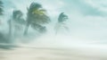 Tropical storm on beach with blurred palms and wind-swept sand, dynamic vibe. Blurred view sandy beach palms Royalty Free Stock Photo
