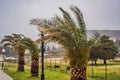 Tropical storm, heavy rain and high winds in tropical climates. Palm trees swaying in the wind from a tropical storm Royalty Free Stock Photo