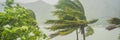 Tropical storm, heavy rain and high winds in tropical climates BANNER, LONG FORMAT