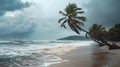 Tropical Stormy Beach with Palm Trees in Dramatic Ocean View