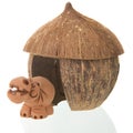Tropical straw hut with hippo