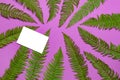 Tropical summer background, green fern leaves and blank white sheet for text on bright pink background top view flat lay. Summer Royalty Free Stock Photo