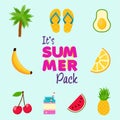 Tropical summer beach decoration icon set Royalty Free Stock Photo