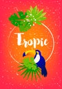 Tropical summer card with palm leaves, toucan, frame and text on red background. Flat design. Vector