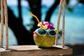 Tropical summer coconut with sunglasses and flowers on a swing on the beach. Coconut cocktail Royalty Free Stock Photo