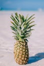 Tropical summer delight. Close-up fresh pineapple on the beach Royalty Free Stock Photo