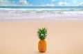 Tropical summer delights. Fresh pineapple on the beach Royalty Free Stock Photo