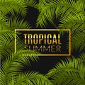 Tropical summer design poster template. Summer vacation with leafs. Jungle paradise