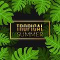 Tropical summer design poster template. Summer vacation with leafs. Jungle paradise Royalty Free Stock Photo