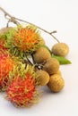 Tropical summer fruits, Rambutan and Longan, on white background