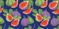 Tropical summer fruits seamless pattern. Figs Fruits pattern. Royalty Free Stock Photo