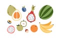 Tropical summer fruits set. Exotic healthy vitamin food. Ripe sweet nutrition. Cut apple, plum, pomelo, whole watermelon