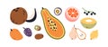 Tropical summer fruits set. Sweet exotic healthy food. Cross section of papaya, pear, grapefruit, cut melon, half of