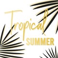 Tropical summer golden text. Background with dark tropical palm leaves. Vector illustration, flat design Royalty Free Stock Photo