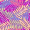 Tropical summer jungle palm tree leaf background Royalty Free Stock Photo