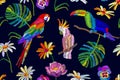 Tropical summer night. Seamless vector pattern with parrots, toucan, flowers and palm leaves on black background.