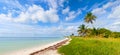 Tropical summer with palm trees Royalty Free Stock Photo