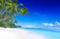 Tropical Summer Paradise with Clear Sky