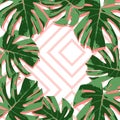 Tropical summer pink fashoin background with leaves palm