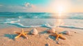 Tropical summer sand beach with starfish. Seashells and starfish on beautiful tropical beach and sea with blue sky Royalty Free Stock Photo