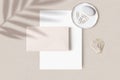 Tropical summer stationery mock-up scene. Blank business card, porcelain plate with stone, gold paper clips and sea