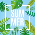 Tropical summer time paper background