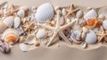Tropical summer travel banner with seashells, coral, starfish on white sand, vacation concept Royalty Free Stock Photo