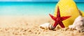 Tropical summer vacations - seashells and starfish on the exotic beach sand with ocean in the background Royalty Free Stock Photo