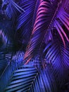 tropical summer vertical background, exotic leaf with neon party glow
