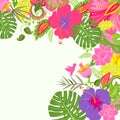 Tropical summery background Royalty Free Stock Photo