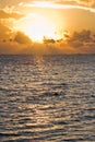 Tropical sun rise Royalty Free Stock Photo