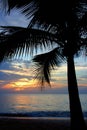 Tropical Sundown Royalty Free Stock Photo
