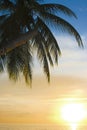 Tropical Sundown Royalty Free Stock Photo