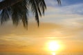 Tropical Sundown Royalty Free Stock Photo