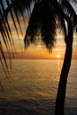 Tropical Sundown Royalty Free Stock Photo