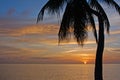 Tropical Sundown Royalty Free Stock Photo