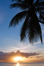 Tropical Sundown Royalty Free Stock Photo