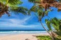 Tropical sunny beach with palm trees and turquoise sea in Caribbean island. Royalty Free Stock Photo