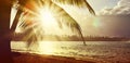 Tropical sunrise with coconut palm trees. Travel background. Royalty Free Stock Photo