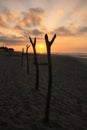 Tropical Sunrise over Fishing Net Drying Posts on Pacific Ocean Royalty Free Stock Photo