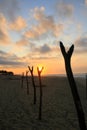 Tropical Sunrise over Fishing Net Drying Posts on Pacific Ocean Royalty Free Stock Photo