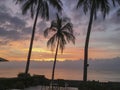 Tropical sunrise seascape with Palm trees, Thailand Royalty Free Stock Photo