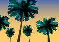 Tropical sunrise at seashore, sea landscape with palms, minimalistic illustration. Seascape sunrise or sunset. Ocean Royalty Free Stock Photo