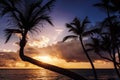 Tropical Sunrise or Sunset at Palm Beach Royalty Free Stock Photo