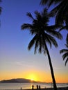 A tropical sunrise with two palm trees at dawn and the sea in the background. Royalty Free Stock Photo