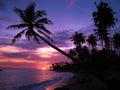 Tropical sunset Royalty Free Stock Photo