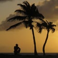 Man underneath palm tree during sunset Royalty Free Stock Photo