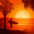 Tropical beach. Silhouettes of palm trees and a surfer against the sun. Royalty Free Stock Photo